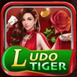lodu tiger