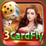 3 Card fly